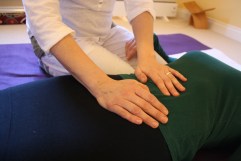 shiatsu 28.01.2017 008